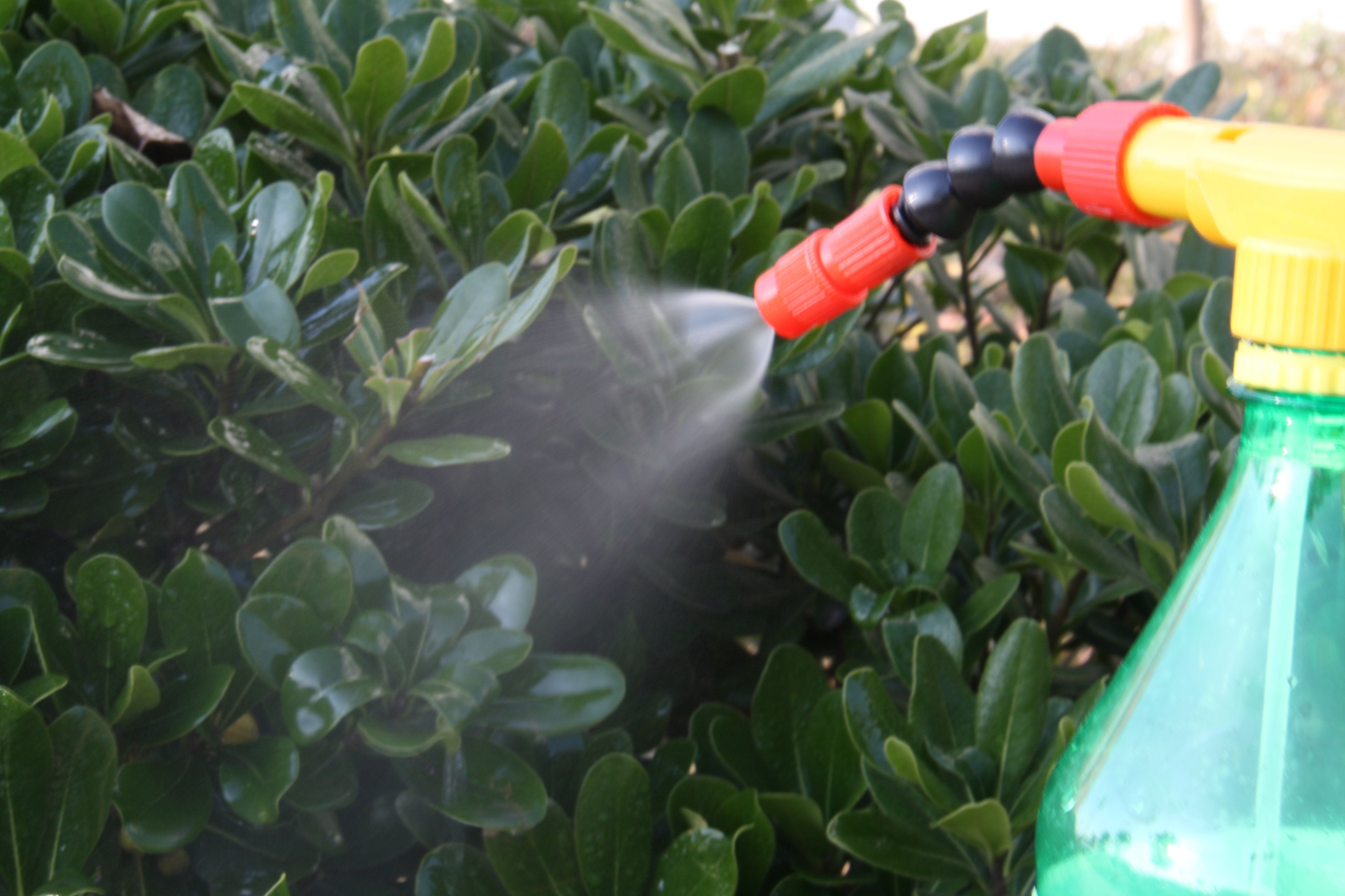 COLA sprayer head portable water gun